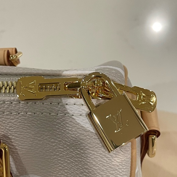 Brand new never carried Louis Vuitton Speedy 25 By the Pool Brume - Picture 3 of 9